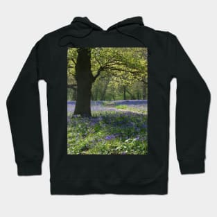 Bluebell Wood Hoodie